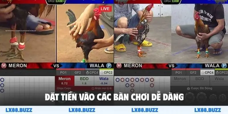Đặt tiền vào các bàn chơi dễ dàng